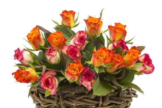 roses in a basket on white background