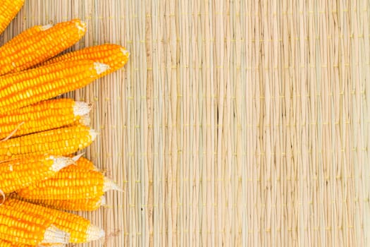 dry corn on thai traditional mat with copyspace on the right, background