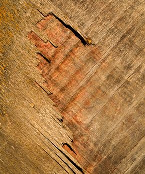 abstract background or texture old plywood board