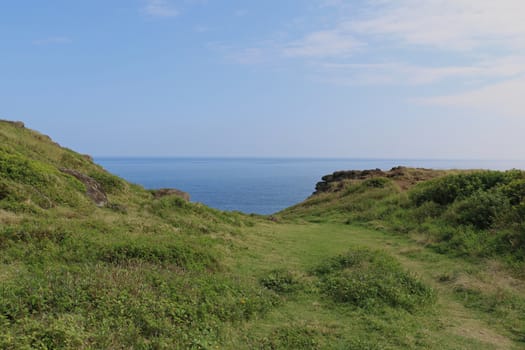 Beautiful background from Maui, Hawaii, with green fields leading to a rock cliff into the ocean