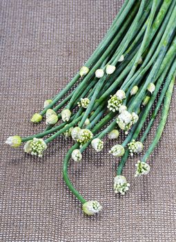 fresh green Onion Flower Stem on brown mat