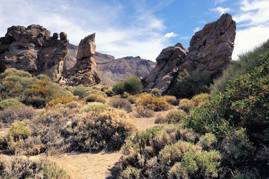 Volcanic landscape near volcano Teide,Tenerife, Canary islands, Spain