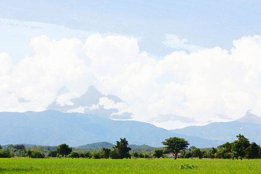 Green Rice Field with Mountains Background under Blue Sky, Chiang Rai, Thailand, watercolor style