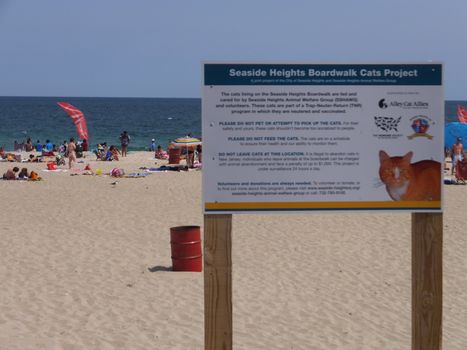 Beach at Seaside Height at Jersey Shore in New Jersey