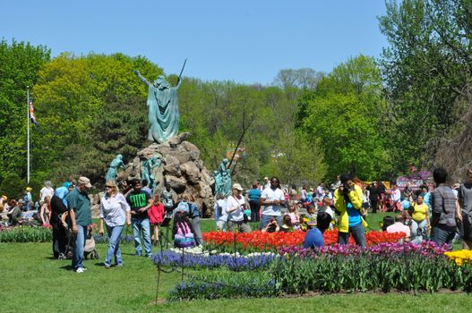 2014 Tulip Festival at Washington Park in Albany, New York State