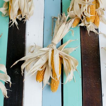 Dried corns is hanged on the roof