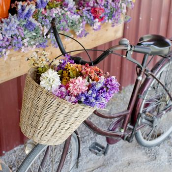 brown vintage bicycle with flowers on thered wall.