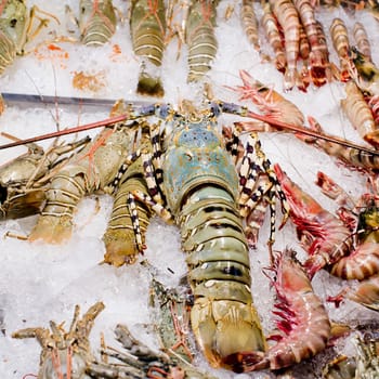 Fresh seafood arrangement displayed in market, ready to cook.