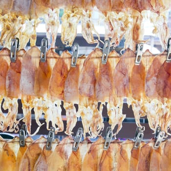 The neatly hanging of dried squid for sale.