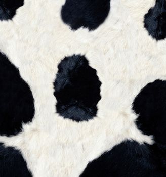 Cow skin texture