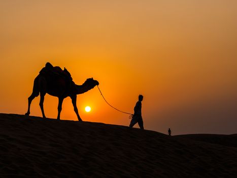 Camel at sunset in Thar Desert near Jaisalmer, Rajasthan, India
