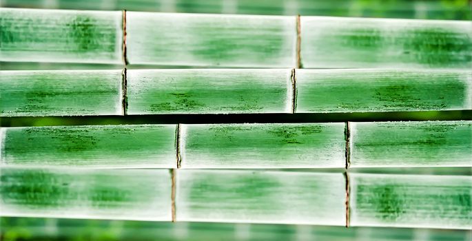 bamboo background or texture