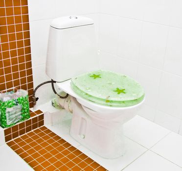 modern toilet in the bathroom