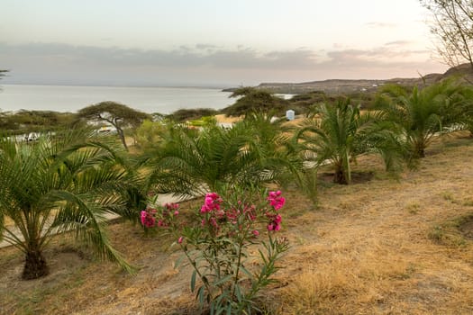 A tranquil, green and peaceful place by shores of lake Langano in Ethiopia
