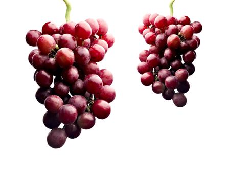 Close up of a cluster of red grapes