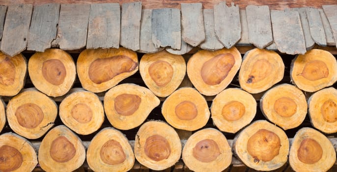 background of cross section of tree trunks, used as wall, with planks