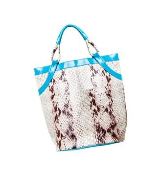 Stylish woman's handbag from crocodile isolated on white