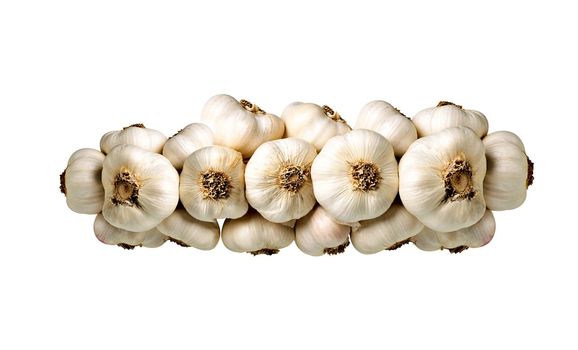 Bunch of garlic isolated