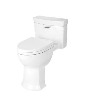 sanitary toilet bowl