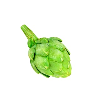 Ripe green artichoke vegetable isolated