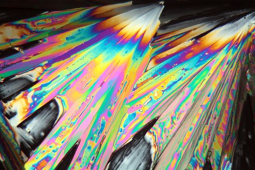 Lanthanum nitrate crystals under a microscope with a magnification of 100x and in polarized light.