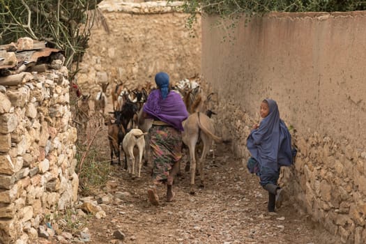 A woman and her daughter herd their animals to the grazing fields in the remote regions of Harar, Ethiopia on July 26, 2014