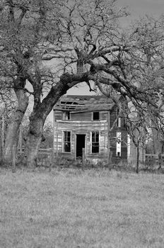 Abandoned farmhouse framed by dead trees in the country