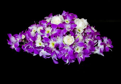 Purple orchid on balck