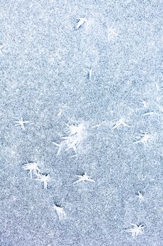 White ice surface with rich texture. Winter background.