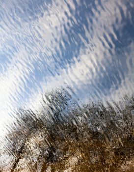 Rippled water surface with the reflection of the leafless trees and blue sky