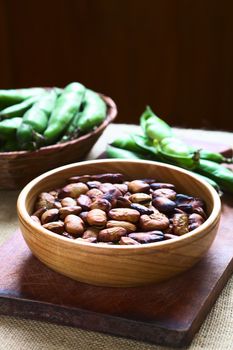 Roasted broad beans (lat. Vicia faba) eaten as snack in Bolivia in wooden bowl with fresh broad bean pods in the back, photographed with natural light (Selective Focus, Focus one third into the roasted beans)