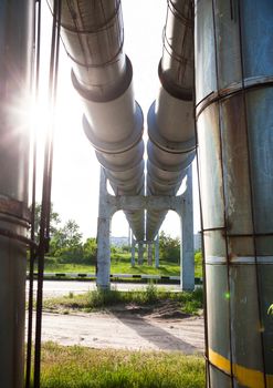 Elevated section of the pipelines above the road