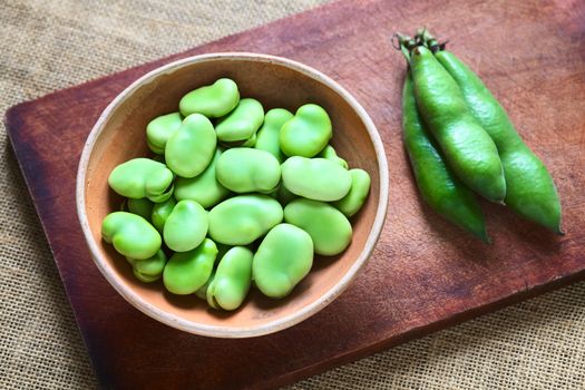 Raw broad beans (lat. Vicia faba) in bowl with pods on the side, photographed with natural light (Selective Focus, Focus on the top of the beans)