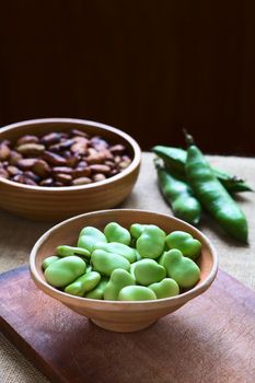 Raw broad beans (lat. Vicia faba) in bowl with pods and roasted broad beans in the back, photographed with natural light (Selective Focus, Focus one third into the beans)