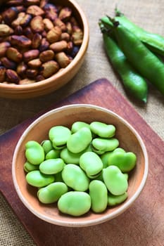 Raw broad beans (lat. Vicia faba) in bowl with pods and roasted broad beans in the back, photographed with natural light (Selective Focus, Focus on the top of the beans)