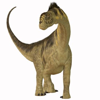 Camarasaurus was a sauropod herbivore dinosaur that lived in the Jurassic Era of North America.