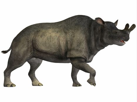 Brontotherium is an extinct rhinoceros-like herbivore that is related to horses. Fossils have been found in North America from the Early Oligocene of the Cenozoic Period.