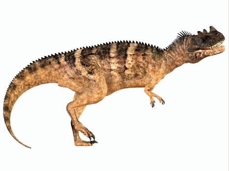 Ceratosaurus was a carnivorous theropod dinosaur that lived in the Jurassic Period of North America.