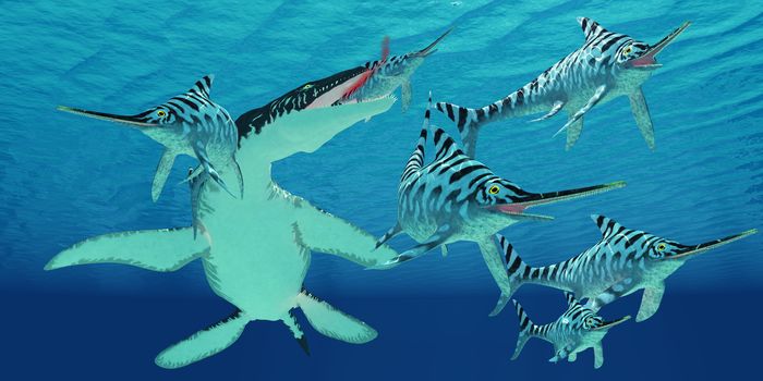 A pod of Eurhinosaurus marine reptiles try to evade the much larger Liopleurodon in Jurassic seas.