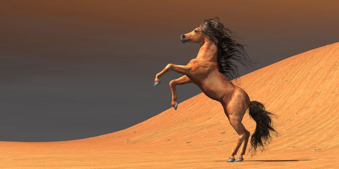 A wild Arabian mare rears up in a desert environment full of red sand dunes.