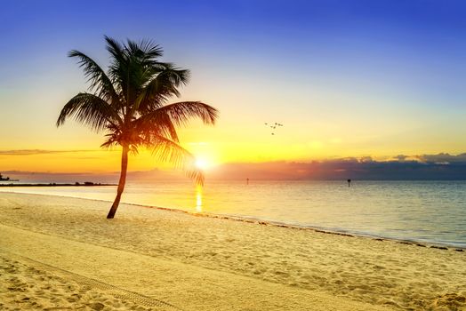 Beautiful sunrise at Key West, Florida, USA