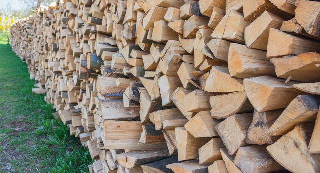 Firewood from Styria,outdoor shot