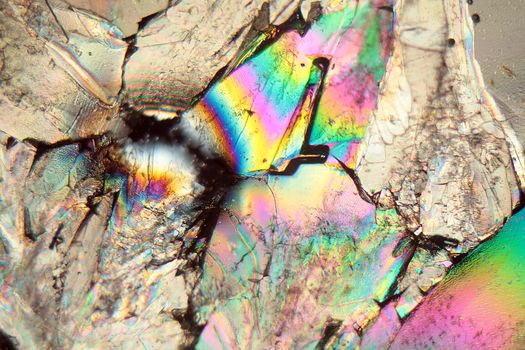 Sugar crystals under the microscope