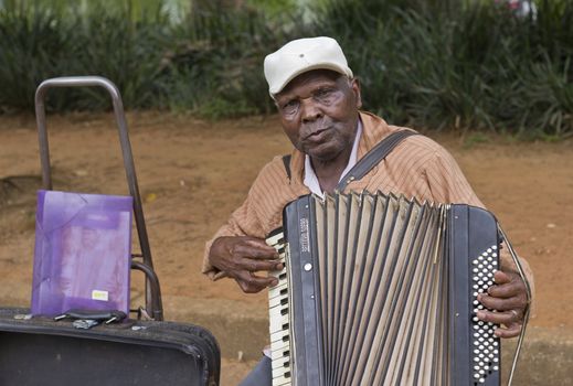 SAO PAULO, BRAZIL - FEBRUARY 01, 2015: An unidentified street musician singing and playing one old accordion in the Ibirapuera Park at Sao Paulo Brazil.