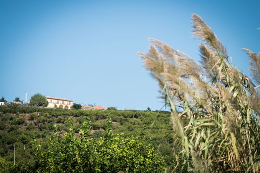 Isolated farm in the midst of green fields