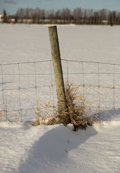 Wooden Pole with Metal Fence