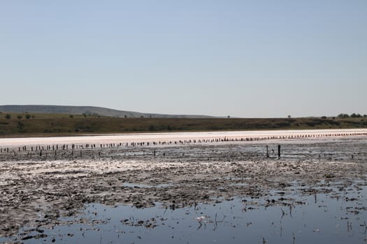 Therapeutic salt lake with mud. Chokrakskoe lake in Crimea