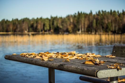 Table with Fall Leaves