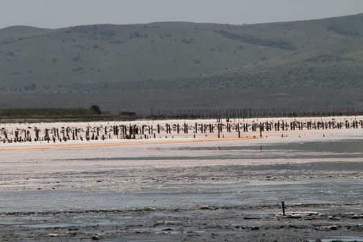 Therapeutic salt lake with mud. Chokrakskoe lake in Crimea