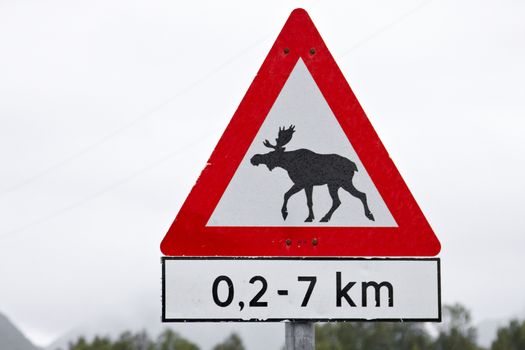 The unusual road sign one can see only in Norway.